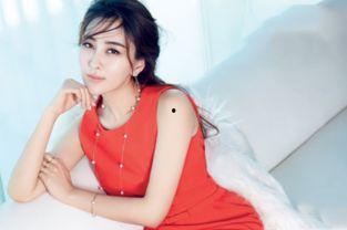 台湾有回族明星吗,多元文化交融下的璀璨星光